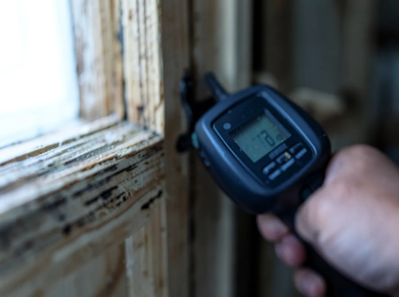 Moisture Inspection And Documentation in Eustace, TX